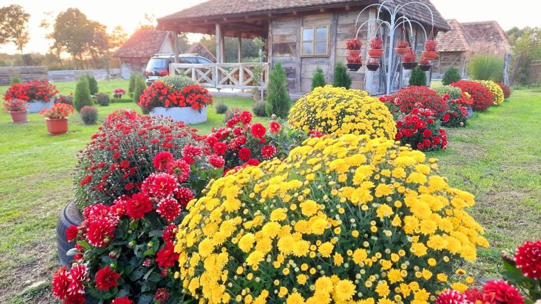 Kapsulski hotel Etno Selo Eden